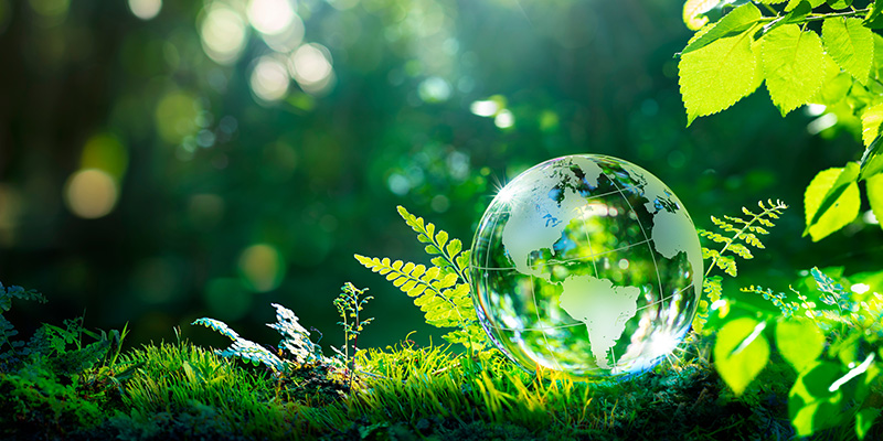 Our Environment Efforts